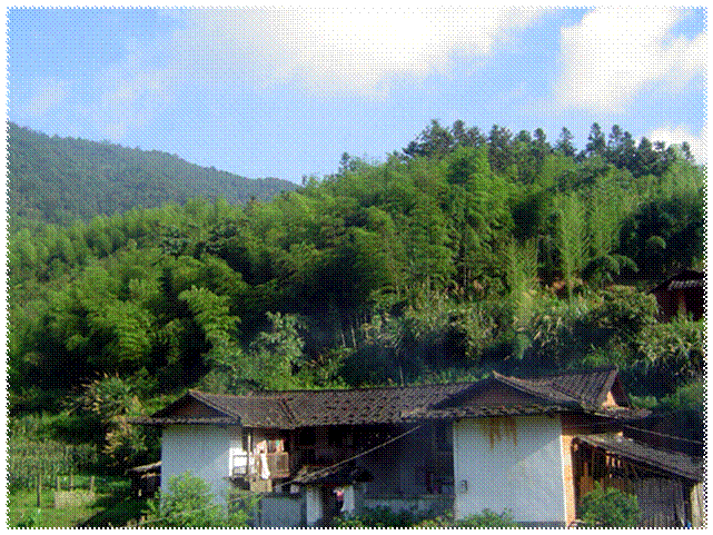 DSC02602_2007.jpg