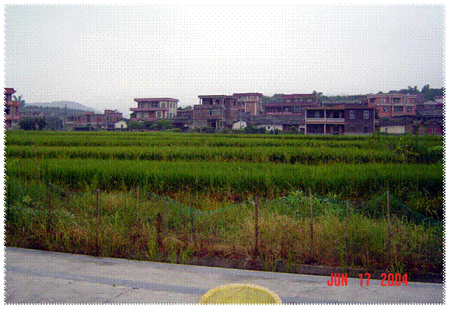 DSC00001.jpg